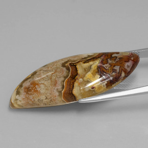 يشب أو جاسبر متعدد الألوان طبيعي، شكل خيالي، 24.71 قيراط، غير شفاف