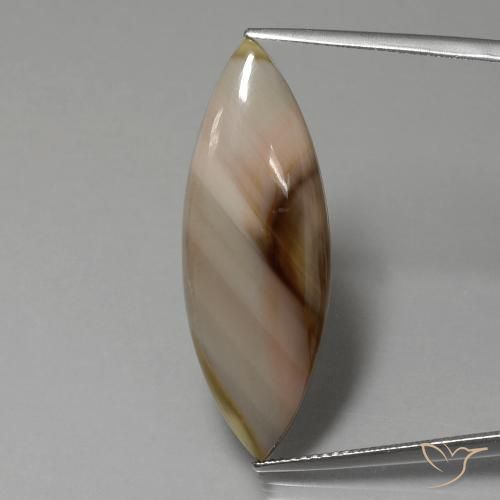 13.74ct طبيعي متعدد الألوان يشب أو جاسبر, ماركيز, غير شفاف