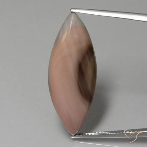 13.77ct طبيعي متعدد الألوان يشب أو جاسبر, ماركيز, غير شفاف