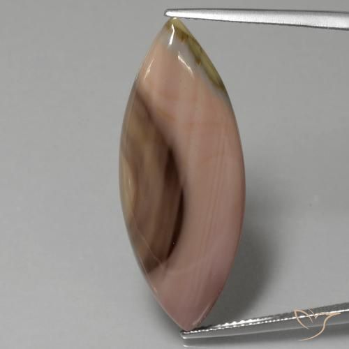 16.57ct طبيعي متعدد الألوان يشب أو جاسبر, ماركيز, غير شفاف