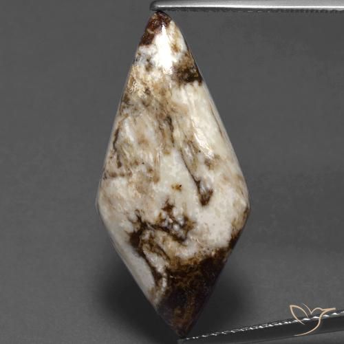 11.75ct طبيعي متعدد الألوان يشب أو جاسبر, فانسى, غير شفاف