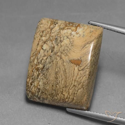 28.04ct طبيعي متعدد الألوان يشب أو جاسبر, باجيت, غير شفاف