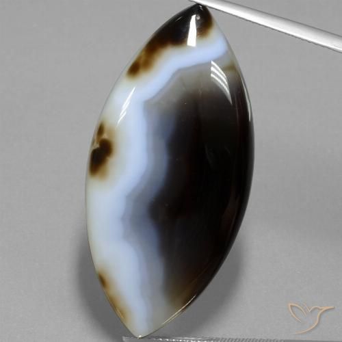 49.54ct طبيعي متعدد الألوان يشب أو جاسبر, ماركيز, نصف شفاف