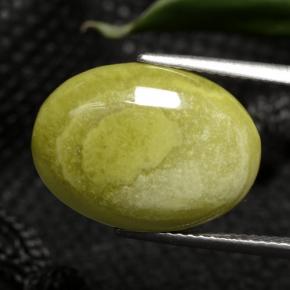 يشب أو جاسبر متعدد الألوان طبيعي، قصة بيضاوى، 7.63 قيراط، غير شفاف