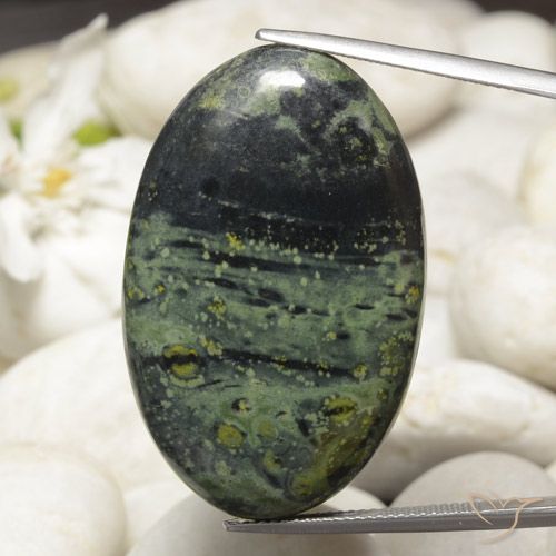 48.91ct طبيعي متعدد الألوان يشب أو جاسبر, بيضوي, غير شفاف