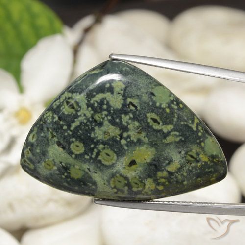 44.66ct طبيعي متعدد الألوان يشب أو جاسبر, مثلثى, غير شفاف