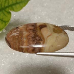 يشب أو جاسبر متعدد الألوان طبيعي، قصة بيضاوى، 21.62 قيراط، غير شفاف