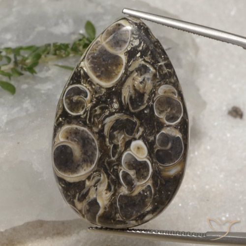 35.12ct طبيعي متعدد الألوان يشب أو جاسبر, شكل الكمثرى, غير شفاف