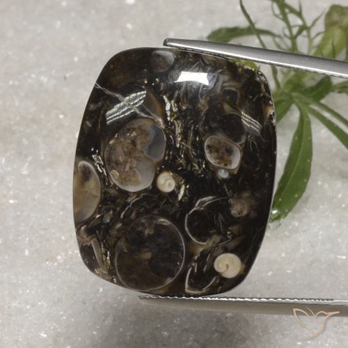 23.10ct طبيعي متعدد الألوان يشب أو جاسبر, وسادة, غير شفاف