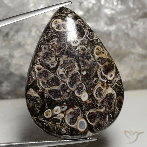 50.43ct طبيعي متعدد الألوان يشب أو جاسبر, شكل الكمثرى, غير شفاف
