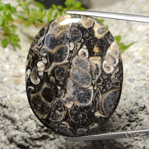 34.14ct طبيعي متعدد الألوان يشب أو جاسبر, بيضوي, غير شفاف