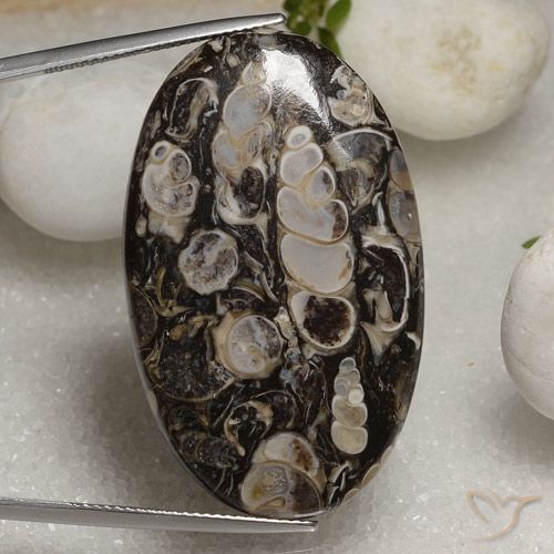 46.02ct طبيعي متعدد الألوان يشب أو جاسبر, بيضوي, غير شفاف