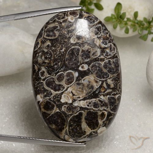 50.37ct طبيعي متعدد الألوان يشب أو جاسبر, بيضوي, غير شفاف