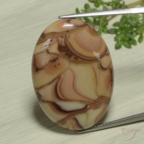 25.36ct طبيعي متعدد الألوان يشب أو جاسبر, بيضوي, غير شفاف