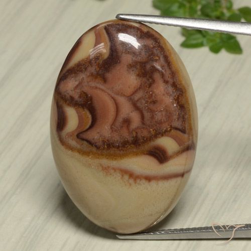 24.59ct طبيعي متعدد الألوان يشب أو جاسبر, بيضوي, غير شفاف