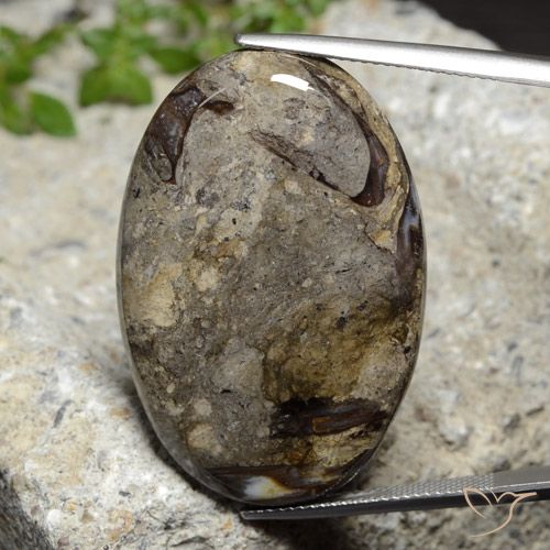 42.92ct طبيعي متعدد الألوان يشب أو جاسبر, بيضوي, غير شفاف