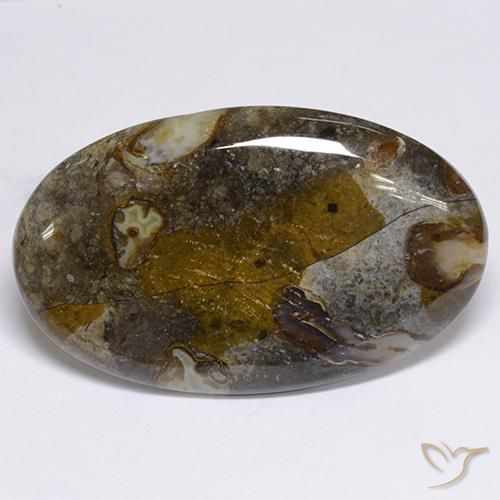 48.91ct طبيعي متعدد الألوان يشب أو جاسبر, بيضوي, غير شفاف