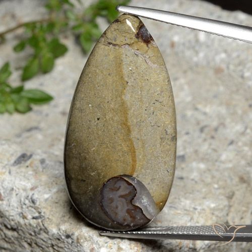 24.26ct طبيعي متعدد الألوان يشب أو جاسبر, شكل الكمثرى, غير شفاف