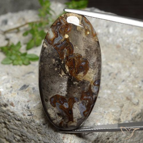 47.90ct طبيعي متعدد الألوان يشب أو جاسبر, بيضوي, غير شفاف