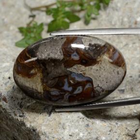 يشب أو جاسبر متعدد الألوان طبيعي، قصة بيضاوى، 39.19 قيراط، غير شفاف