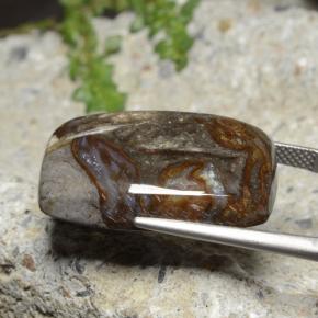 يشب أو جاسبر متعدد الألوان طبيعي، قطع وسادة، 25.44 قيراط، غير شفاف