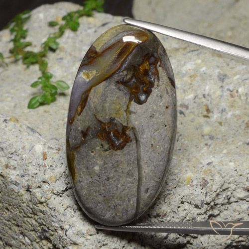 46.39ct طبيعي متعدد الألوان يشب أو جاسبر, بيضوي, غير شفاف