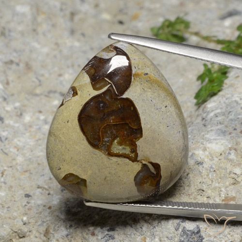 22.24ct طبيعي متعدد الألوان يشب أو جاسبر, شكل الكمثرى, غير شفاف
