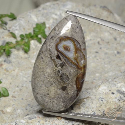 23.89ct طبيعي متعدد الألوان يشب أو جاسبر, شكل الكمثرى, غير شفاف