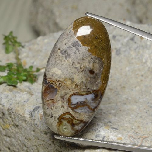 30.95ct طبيعي متعدد الألوان يشب أو جاسبر, بيضوي, غير شفاف