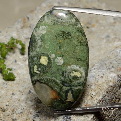 27.42ct طبيعي متعدد الألوان يشب أو جاسبر, بيضوي, غير شفاف