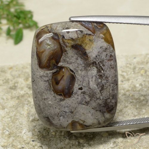 31.55ct طبيعي متعدد الألوان يشب أو جاسبر, وسادة, غير شفاف