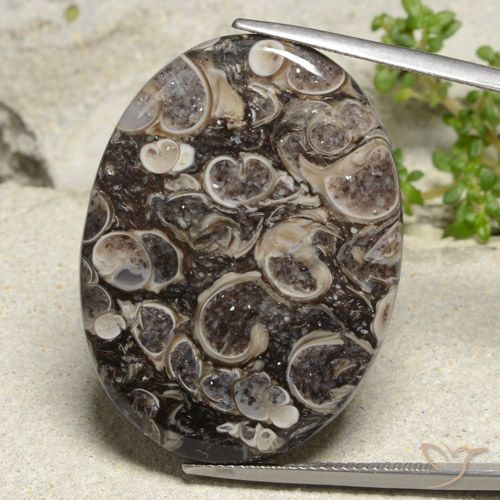 36.83ct طبيعي متعدد الألوان يشب أو جاسبر, بيضوي, غير شفاف