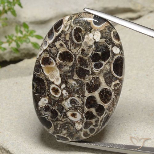 47.67ct طبيعي متعدد الألوان يشب أو جاسبر, بيضوي, غير شفاف