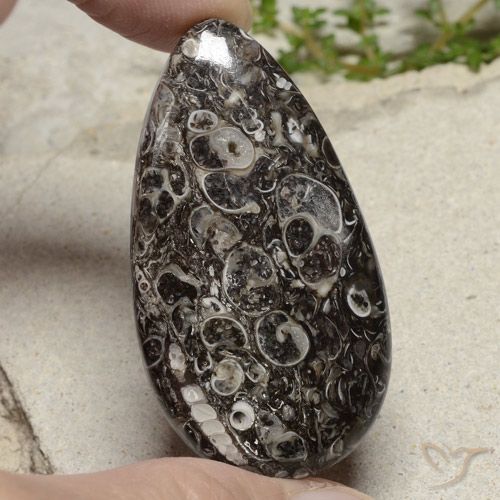 48.79ct طبيعي متعدد الألوان يشب أو جاسبر, شكل الكمثرى, غير شفاف