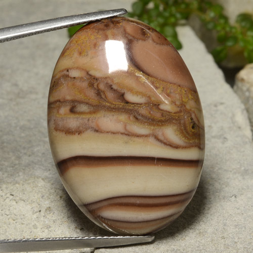 يشب أو جاسبر متعدد الألوان طبيعي، قصة بيضاوى، 26.59 قيراط، غير شفاف