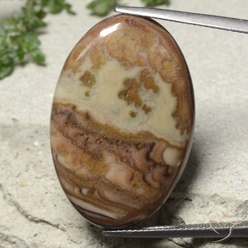 23.45ct طبيعي متعدد الألوان يشب أو جاسبر, بيضوي, غير شفاف
