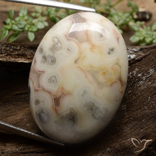 44.66ct طبيعي متعدد الألوان يشب أو جاسبر, بيضوي, غير شفاف