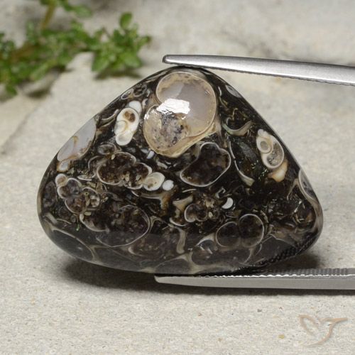 31.57ct طبيعي متعدد الألوان يشب أو جاسبر, شكل الكمثرى, غير شفاف