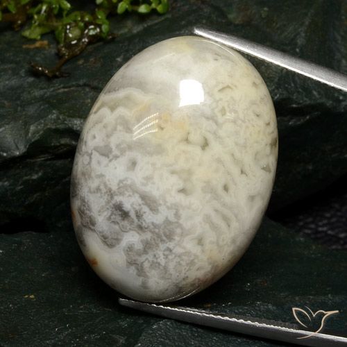 46.37ct طبيعي متعدد الألوان يشب أو جاسبر, بيضوي, غير شفاف