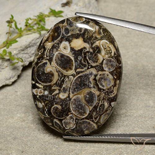 40.36ct طبيعي متعدد الألوان يشب أو جاسبر, بيضوي, غير شفاف
