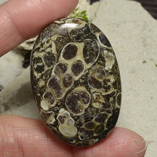 71.95ct طبيعي متعدد الألوان يشب أو جاسبر, بيضوي, غير شفاف