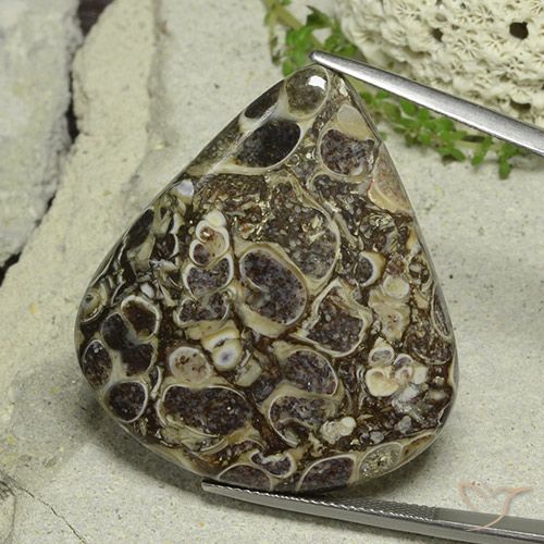 46.19ct طبيعي متعدد الألوان يشب أو جاسبر, شكل الكمثرى, غير شفاف
