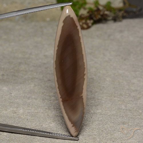 13.34ct طبيعي متعدد الألوان يشب أو جاسبر, ماركيز, غير شفاف