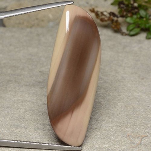 20.71ct طبيعي متعدد الألوان يشب أو جاسبر, فانسى, غير شفاف