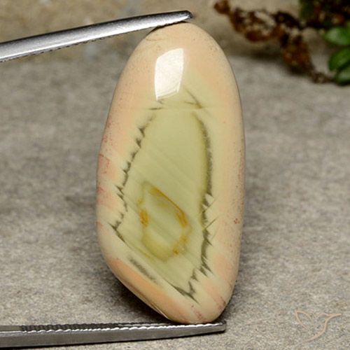16.99ct طبيعي متعدد الألوان يشب أو جاسبر, فانسى, غير شفاف