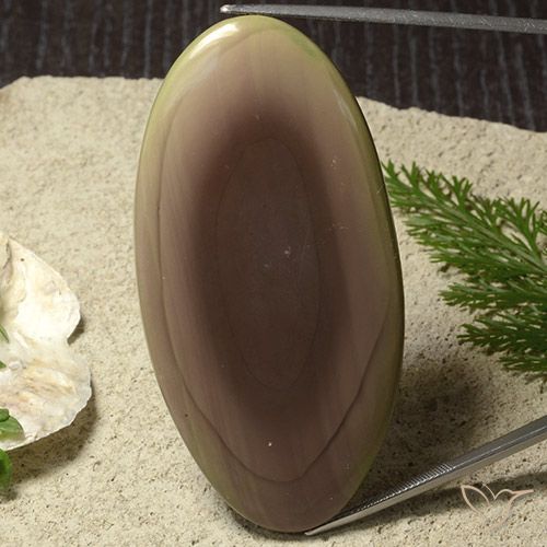 91.61ct طبيعي متعدد الألوان يشب أو جاسبر, بيضوي, غير شفاف