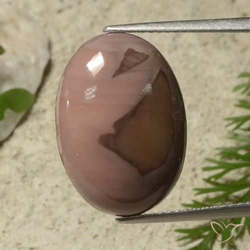 9.20ct طبيعي متعدد الألوان يشب أو جاسبر, بيضوي, غير شفاف