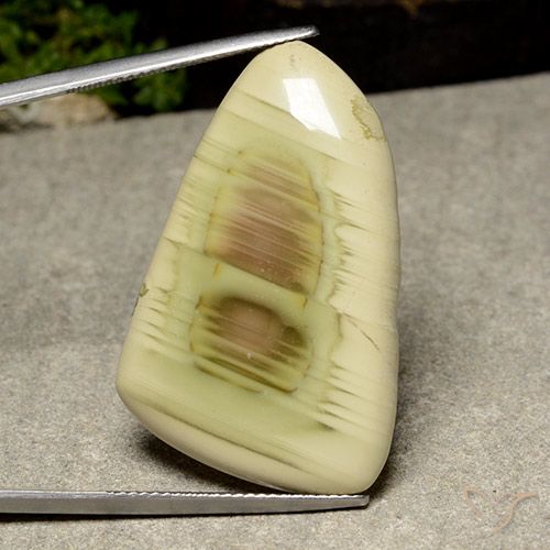 31.54ct طبيعي متعدد الألوان يشب أو جاسبر, فانسى, غير شفاف