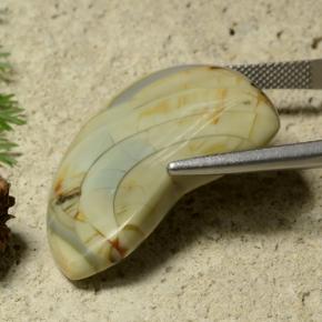 يشب أو جاسبر متعدد الألوان طبيعي، شكل خيالي، 25.50 قيراط، غير شفاف