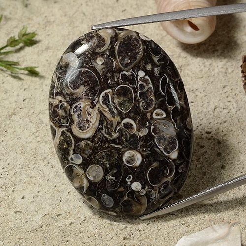 51.44ct طبيعي متعدد الألوان يشب أو جاسبر, بيضوي, غير شفاف